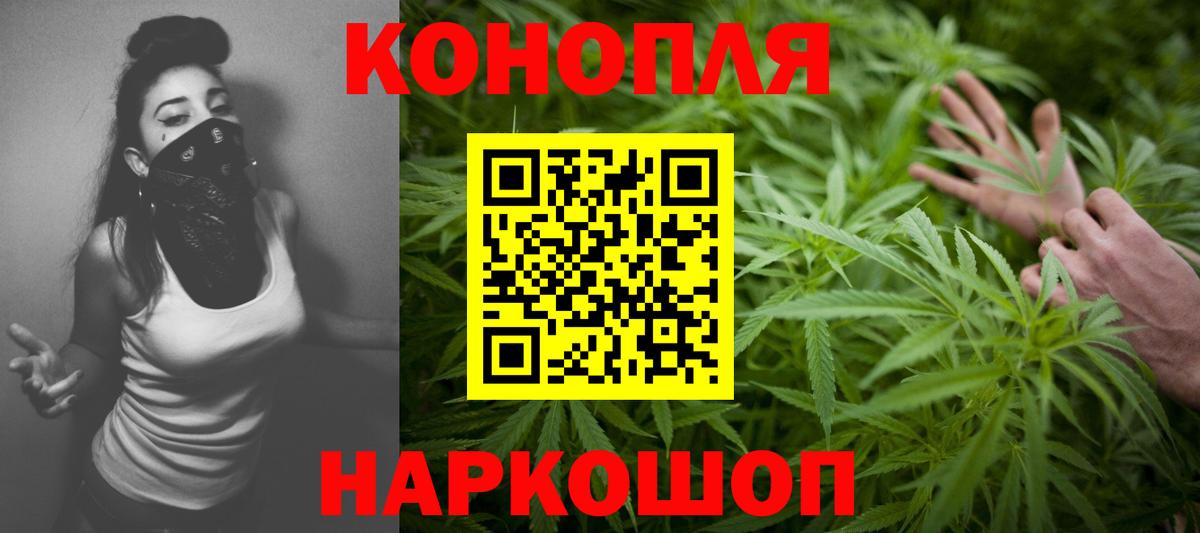 Бошки Шишки гибрид  Шишки марихуана гибрид  Бошки Шишки планчик  Вход с VPN  Гурьевск  МАРИХУАНА планчик 